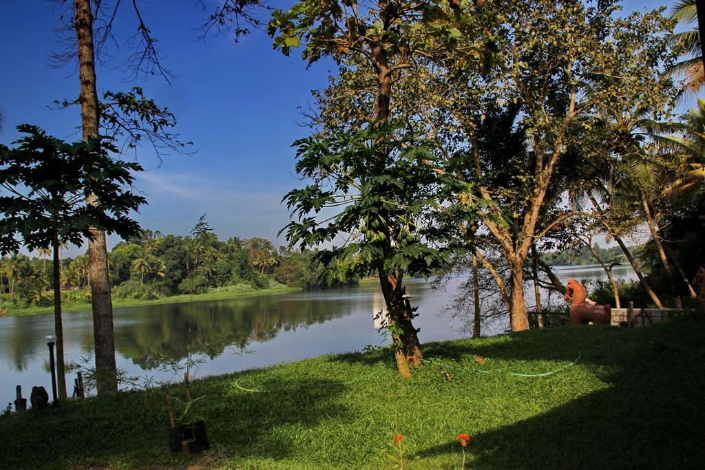 Pearl Spot Bed and Breakfast Nedumbassery Buitenkant foto